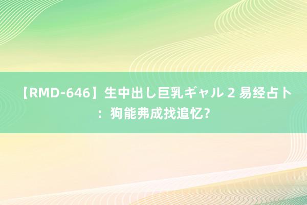 【RMD-646】生中出し巨乳ギャル 2 易经占卜：狗能弗成找追忆？