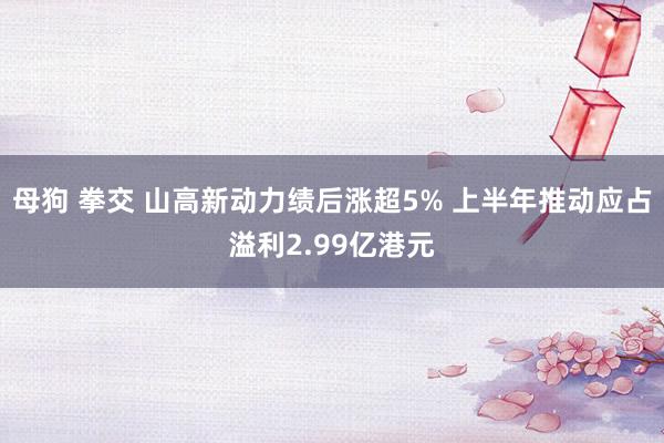 母狗 拳交 山高新动力绩后涨超5% 上半年推动应占溢利2.99亿港元