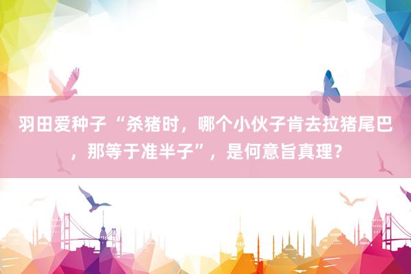羽田爱种子 “杀猪时，哪个小伙子肯去拉猪尾巴，那等于准半子”，是何意旨真理？