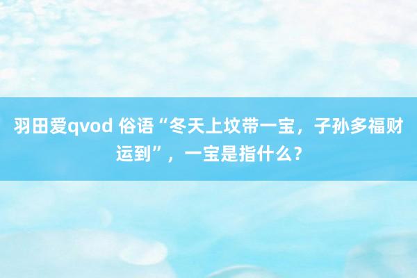 羽田爱qvod 俗语“冬天上坟带一宝，子孙多福财运到”，一宝是指什么？