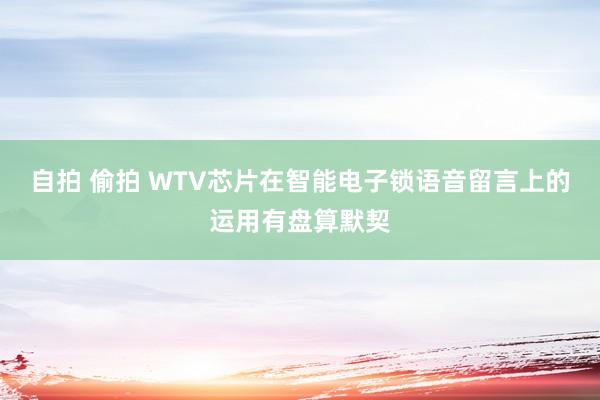 自拍 偷拍 WTV芯片在智能电子锁语音留言上的运用有盘算默契