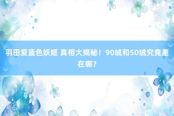 羽田爱蓝色妖姬 真相大揭秘！90绒和50绒究竟差在哪？