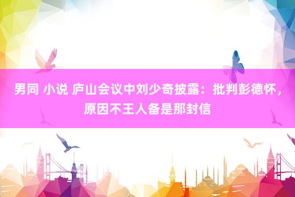 男同 小说 庐山会议中刘少奇披露：批判彭德怀，原因不王人备是那封信