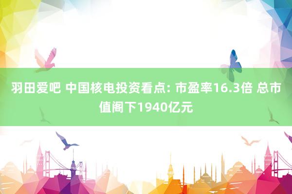 羽田爱吧 中国核电投资看点: 市盈率16.3倍 总市值阁下1940亿元