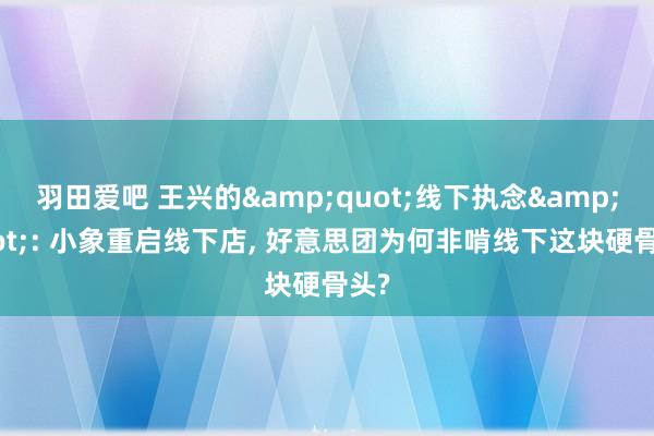 羽田爱吧 王兴的&quot;线下执念&quot;: 小象重启线下店, 好意思团为何非啃线下这块硬骨头