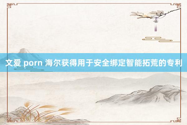 文爱 porn 海尔获得用于安全绑定智能拓荒的专利