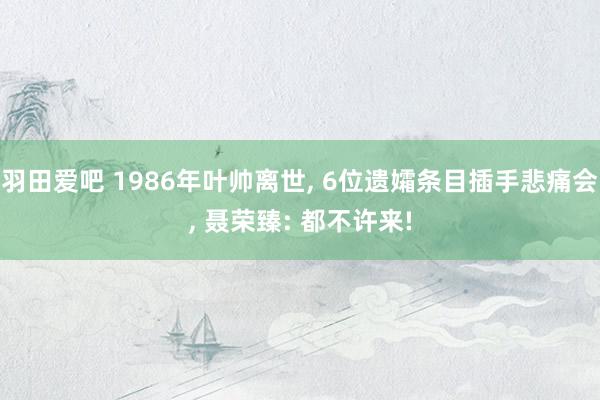 羽田爱吧 1986年叶帅离世, 6位遗孀条目插手悲痛会, 聂荣臻: 都不许来!