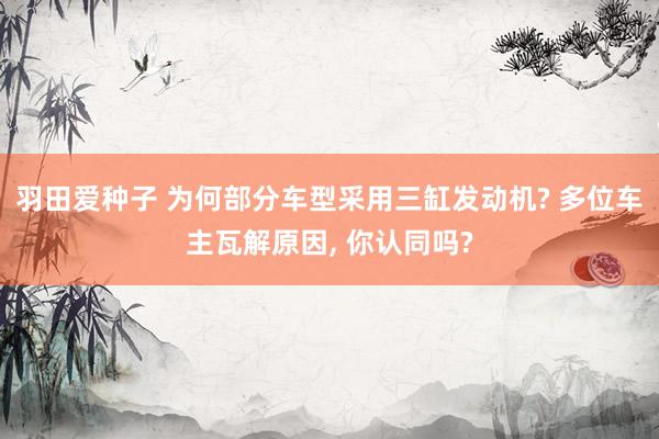 羽田爱种子 为何部分车型采用三缸发动机? 多位车主瓦解原因, 你认同吗?