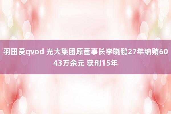 羽田爱qvod 光大集团原董事长李晓鹏27年纳贿6043万余元 获刑15年